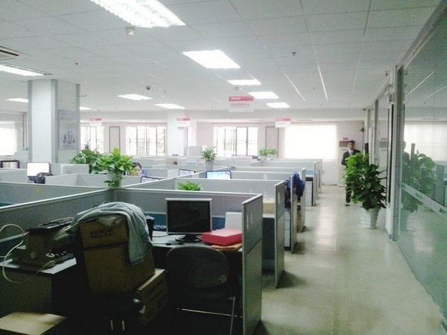 广西景观立体绿化公司